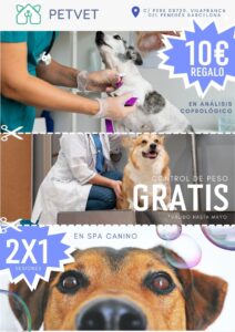 Clínica veterinaria en Barcelona